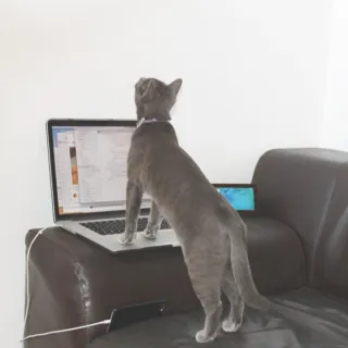 We changed the game, but we are still the same.