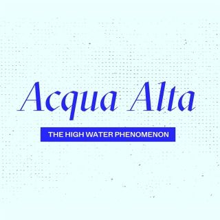 “Venice Tourism Friendly City”. Un video per insegnare ‘how to acqua alta’ ai visitatori della città più bella del mondo.