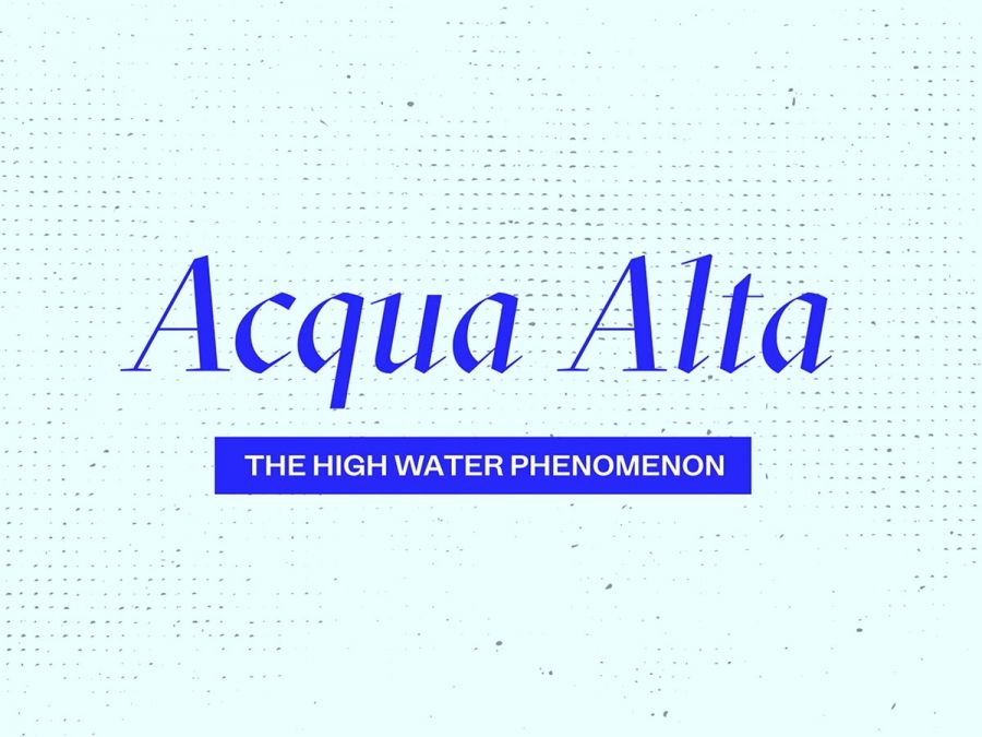 &ldquo;Venice Tourism Friendly City&rdquo;. Un video per insegnare &lsquo;how to acqua alta&rsquo; ai visitatori della citt&agrave; pi&ugrave; bella del mondo.