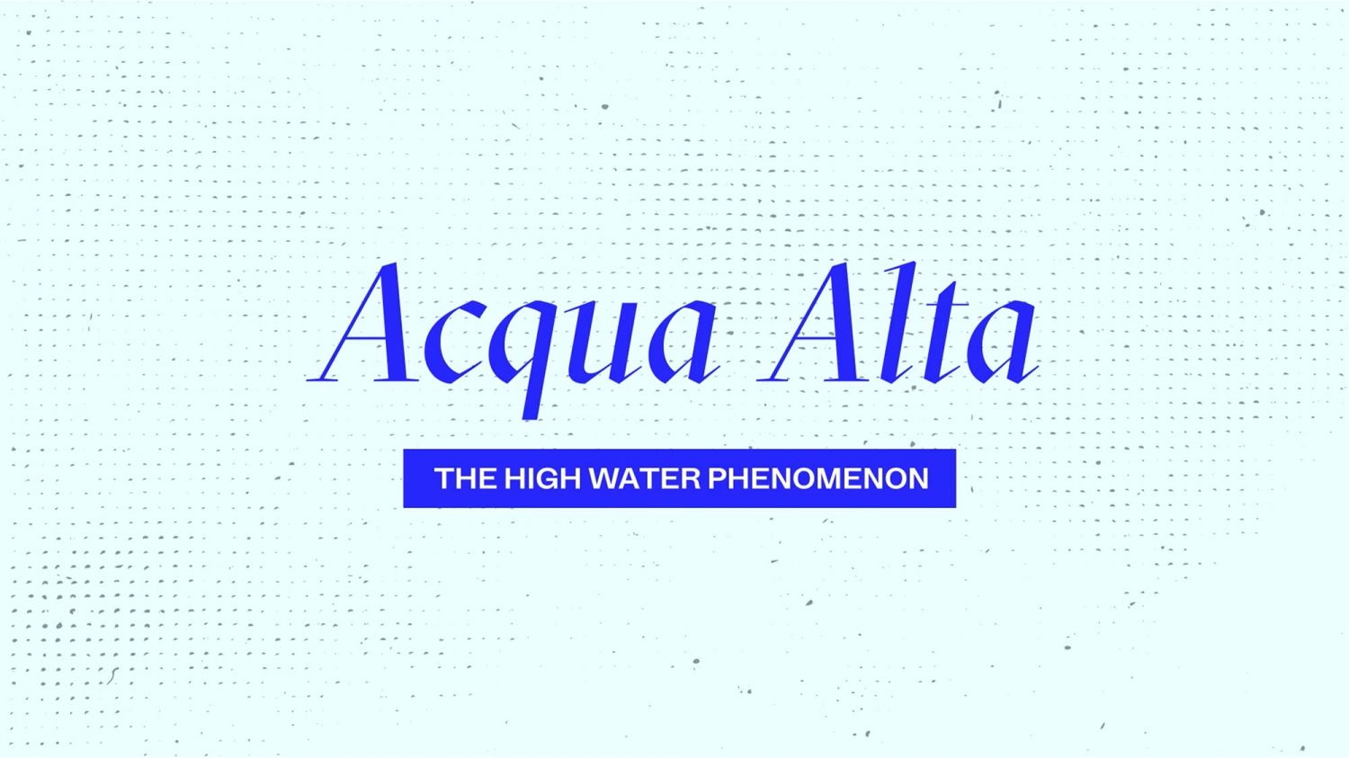 &ldquo;Venice Tourism Friendly City&rdquo;. Un video per insegnare &lsquo;how to acqua alta&rsquo; ai visitatori della citt&agrave; pi&ugrave; bella del mondo.