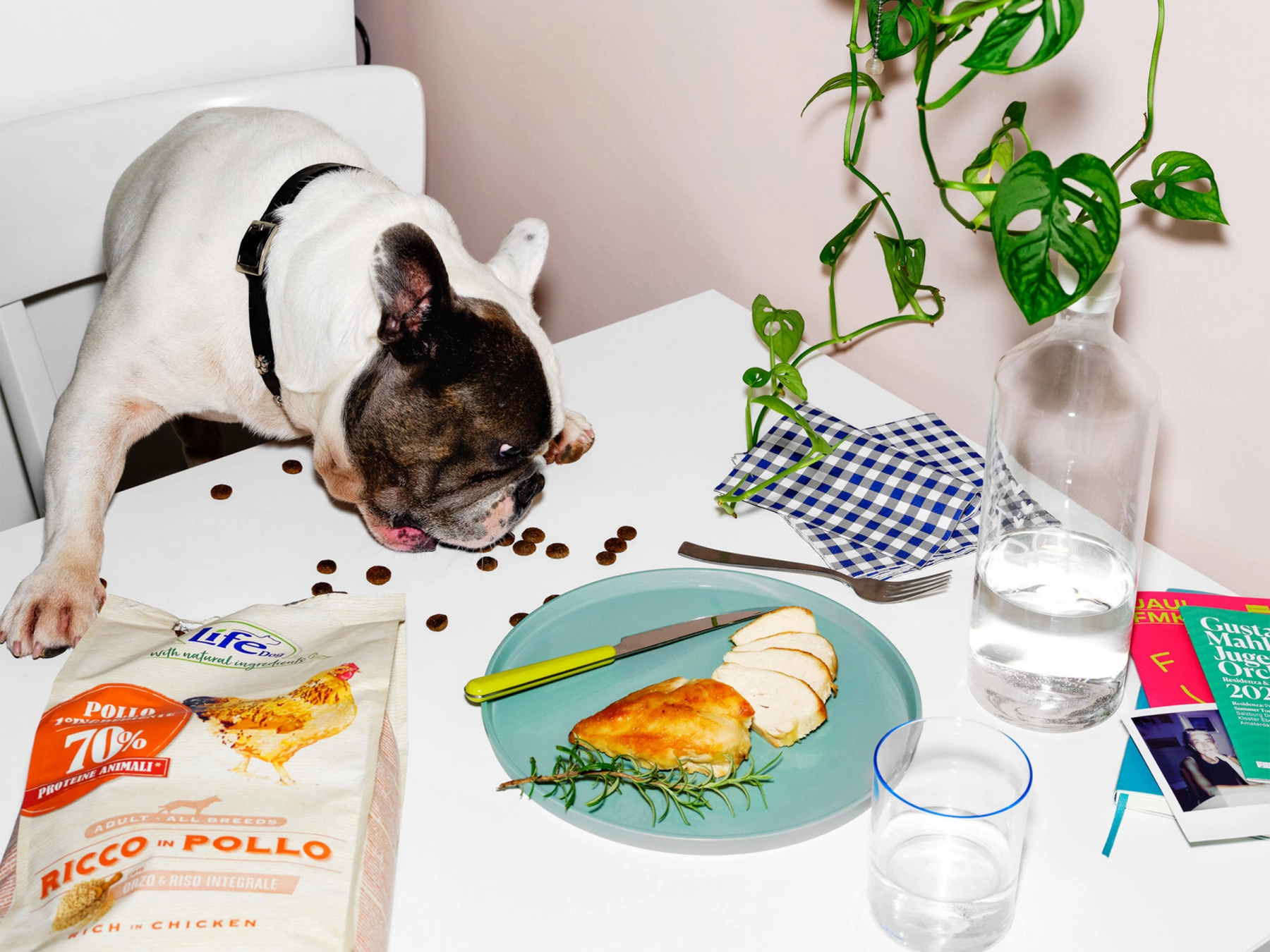 Save the Food: un progetto contro lo spreco alimentare